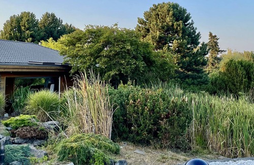 Delta Cabina | Shack - Private Hot Tub