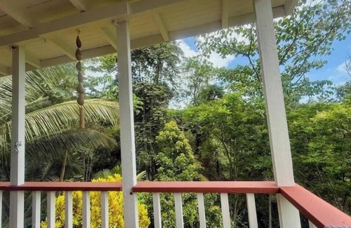 Concordia Cabina | Shade Forest Hideaway + Private Waterfall