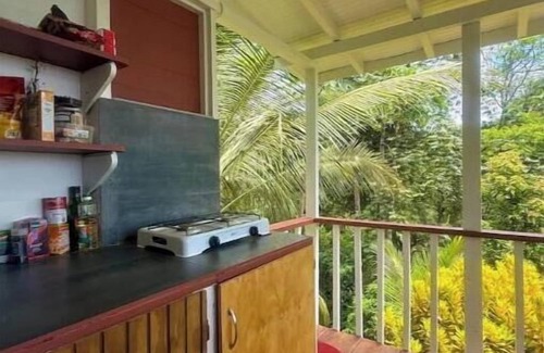 Concordia Cabina | Shade Forest Hideaway + Private Waterfall