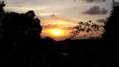 Belmont Casa | Shades Cottage Guesthouse