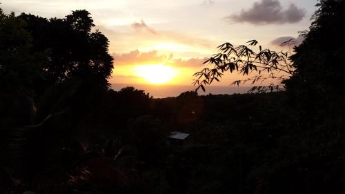 Belmont Casa | Shades Cottage Guesthouse