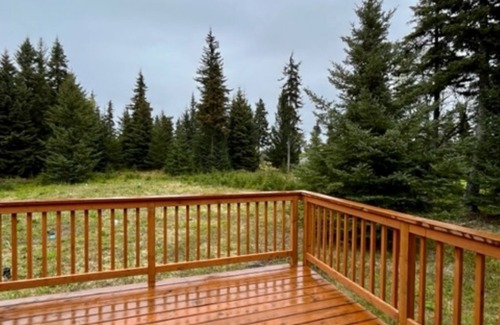 Anchor Point Casa | SHADY ACRES, NEW! ANCHOR POINT, PET FRIENDLY, NEAR CHARTER FISHERIES, GOLFING