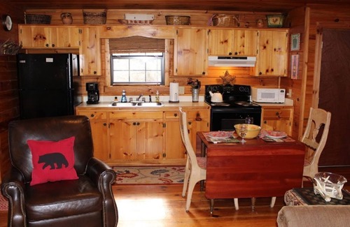 Ellijay Cabina | Shady Hollow - ¡Escapada romántica para parejas con bañera de hidromasaje, Internet y cable!