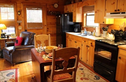 Ellijay Cabina | Shady Hollow - ¡Escapada romántica para parejas con bañera de hidromasaje, Internet y cable!