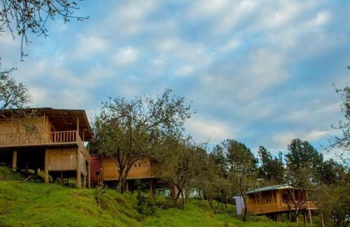Vattakanal Casa | Shafa Wood Cabin