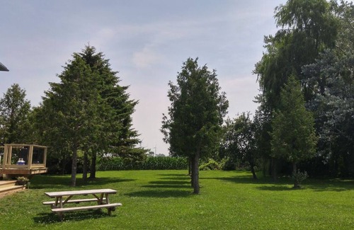 Ashfield-Colborne-Wawanosh Casa | ¡Shamrock Beach Cottage de 8 habitaciones cerca de la costa oeste de arena de Ontario!