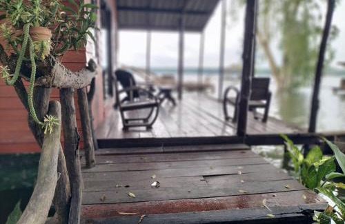 Pluak Daeng Otro | Shamballa Dok krai
