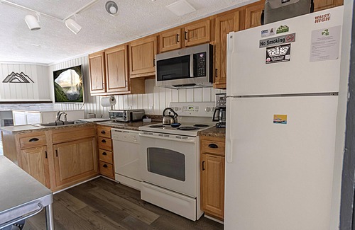 Snowshoe Casa | Shamrock 21A: Winter Escape for You & Your Dog with Fireplace & EV