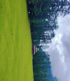 Kullu Casa | Shangarh JC Snow Valley