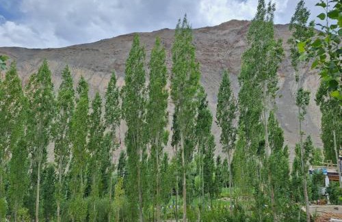 Tingmosgang Cama Y Desayuno | Shanglang Guest House Ladakh by LexStays