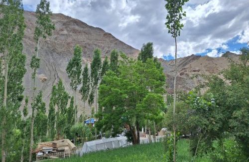 Tingmosgang Cama Y Desayuno | Shanglang Guest House Ladakh by LexStays