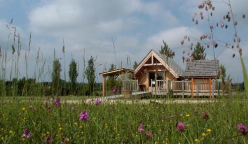 Berson Cabina | Shanti Lac Cabanes gîtes insolites et espace bien-être Bordeaux