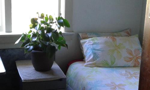 Te Akau Casa | Share our home farm stay