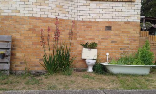 Te Akau Casa | Share our home farm stay