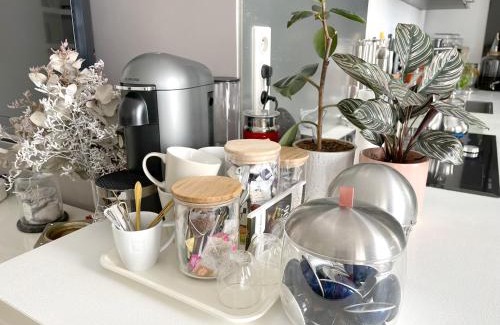 Quartier du Port Casa | Shared Duplex Apartment Nice-Port