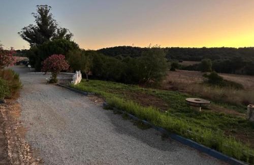Montemor-o-Novo Casa | Shared Quinta with Pool and Olive Grove Views