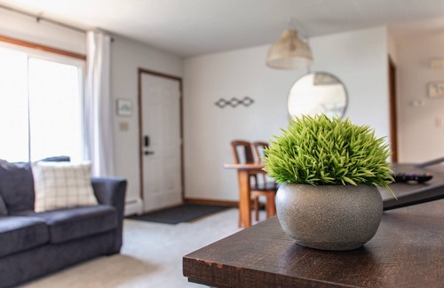 Superior Casa | Shark Free | The Great Lakes House