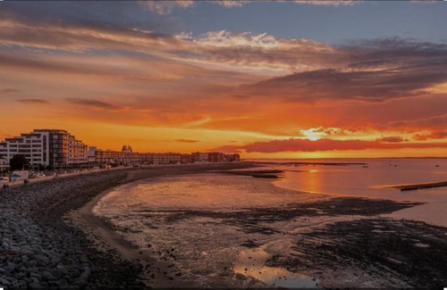 Morecambe Otro | Shear water