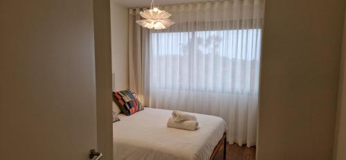 Santo Antonio Apartamento | Shell Living - KOS