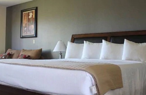 Plymouth Hotel | Shenandoah Inn