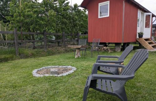 Sint Maartensbrug Apartamento | Shepherd's hut 'De Skoeboet'