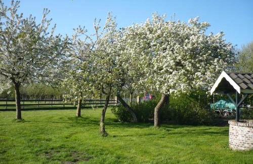 Municipality of Castricum Cama Y Desayuno | Shepherds House B&B