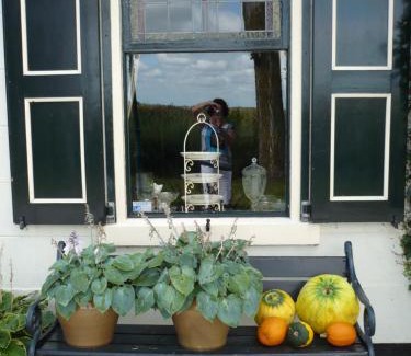 Municipality of Castricum Cama Y Desayuno | Shepherds House B&B