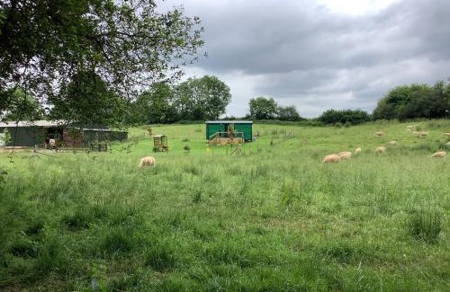Westcott Casa | Shepherds Hut (Benny's)