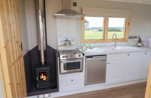 Adlingfleet Cabaña | SHEPHERDS HUT, pet friendly, with open fire in Scunthorpe