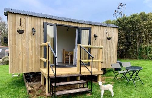 St Wenn Otro | Shepherds hut with valley views