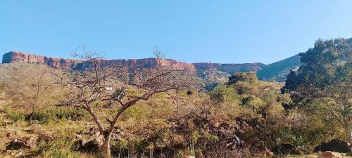 Mkhambathini Otro | Sheriff's Campsite