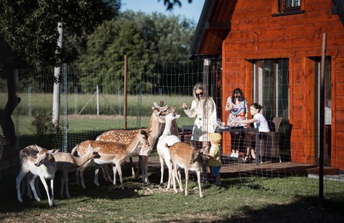 Darsuniskis Casa | Sherolle vila