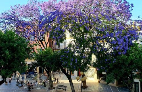 Centro histórico de Jerez de la Frontera Apartamento | Sherryflat Senovilla