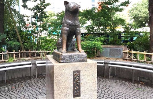 Higashi Apartamento | Shibuya Station Charming Place 8min walk 3ppl B102 - B102 / Shibuya-ku Tokyo