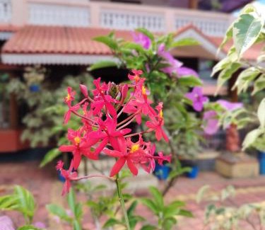 Maragodu Casa | Shivalaya Homestay, Madikeri