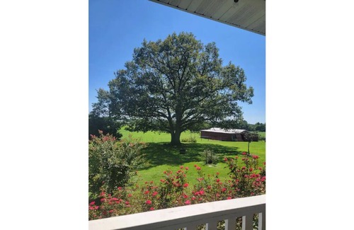 Powell Casa | Shoal Creek Retreat Farm Stay