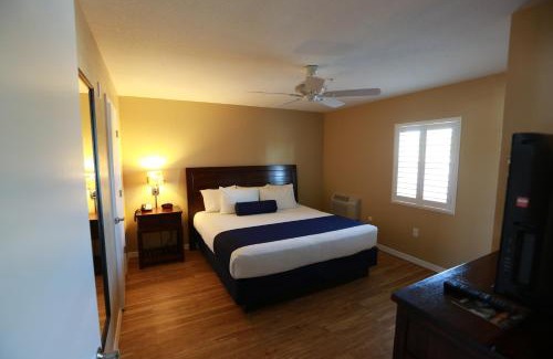 Madeira Beach Complejo | Shoreline Island Resort - Exclusively Adult