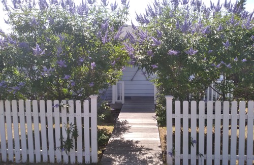 Ocean Beach Casa | Short walk to Ocean beaches, excellent restaurants and entertainment