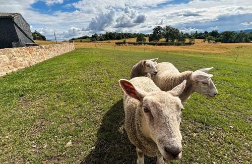 Farden Casa | Shropshire Way Stay
