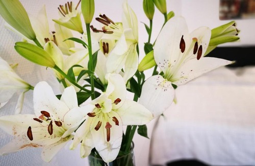Strassen Apartamento | SHS Suite Home Sweet Strassen