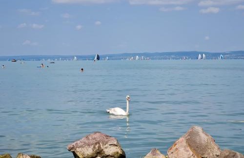Siofok Aranypart Apartamento | Siófok Sophia Apartman