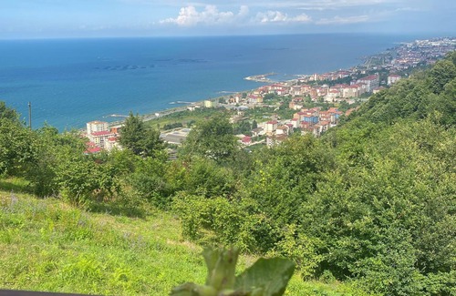 Arsin Chalet De Esquí | SİFLA BUNGALOV & RESTURANT