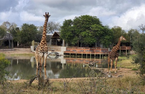 Thorny Bush Game Reserve Cabina | Simbavati Waterside