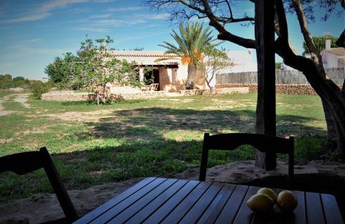 Formentera Casa | Siamoformentera Analissa