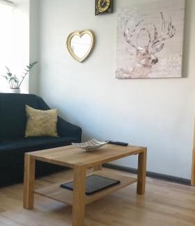 Siauliai City Center Apartamento | Siauliai Apartments - Ežero
