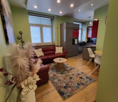 Siauliai City Center Apartamento | Siauliai Apartments - Traku