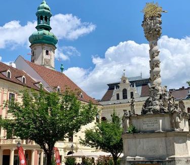 Sopron Apartamento | Sicomoro Casa