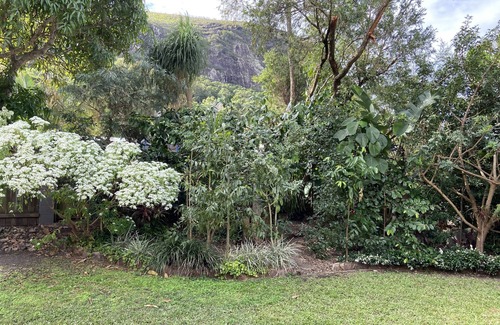 Mount Coolum Casa | Lugar de Sid !!!! MASCOTAS, PLAYA, MT COOLUM, TIENDAS, GOLF 🐶⛳️🏖