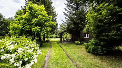 Nowa Deba Casa | Siedlisko Basiówka