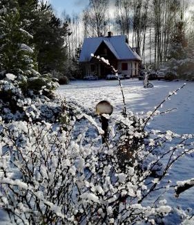 Narewka Casa | Siedlisko Gruszki Puszcza Białowieska